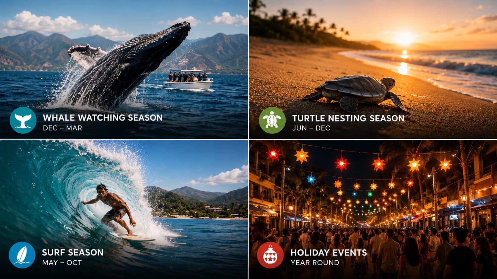Seasonal & Special Events experiences in Punta Mita